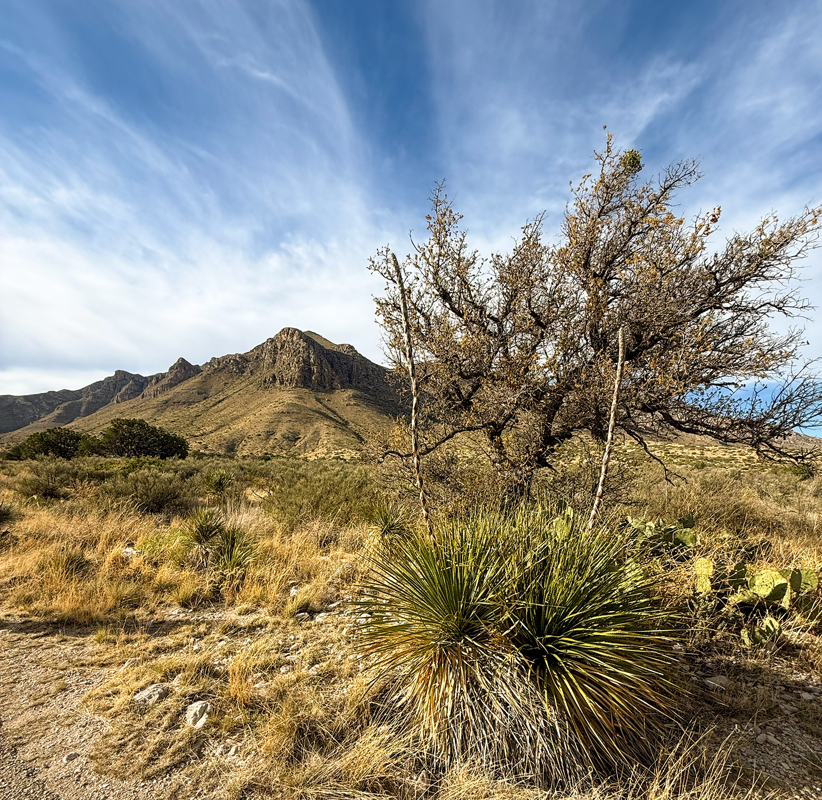 Guadalupe Mountains National Park Guadalupe Mountains National Park