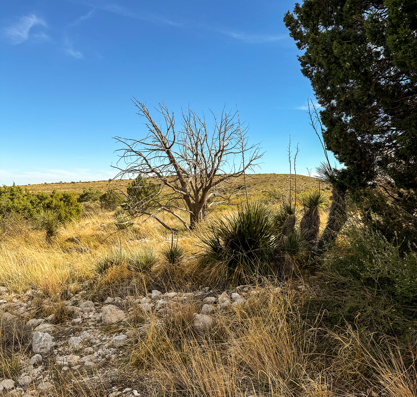 Guadalupe Mountains National Park Guadalupe Mountains National Park