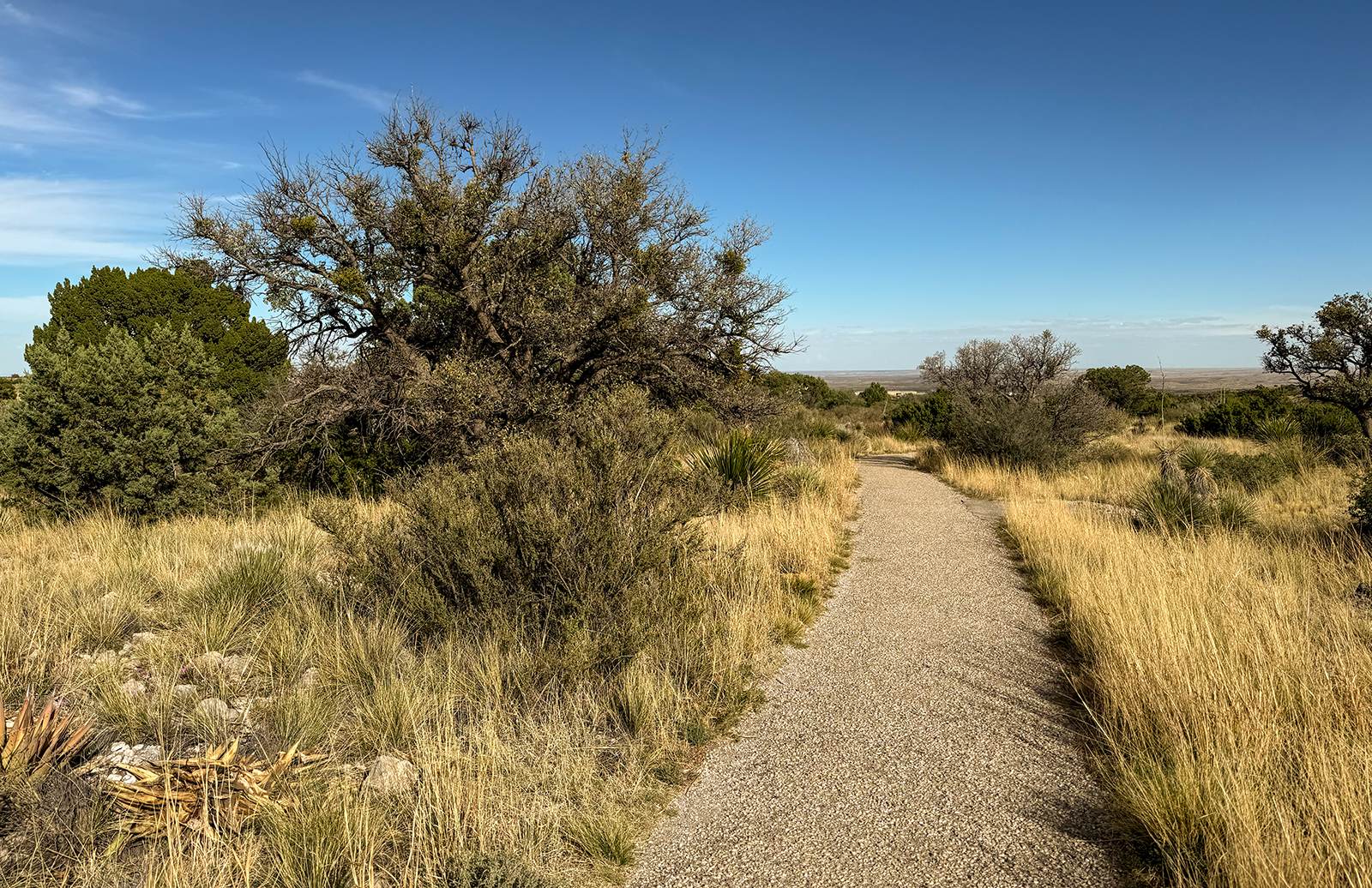 Guadalupe Mountains National Park Guadalupe Mountains National Park