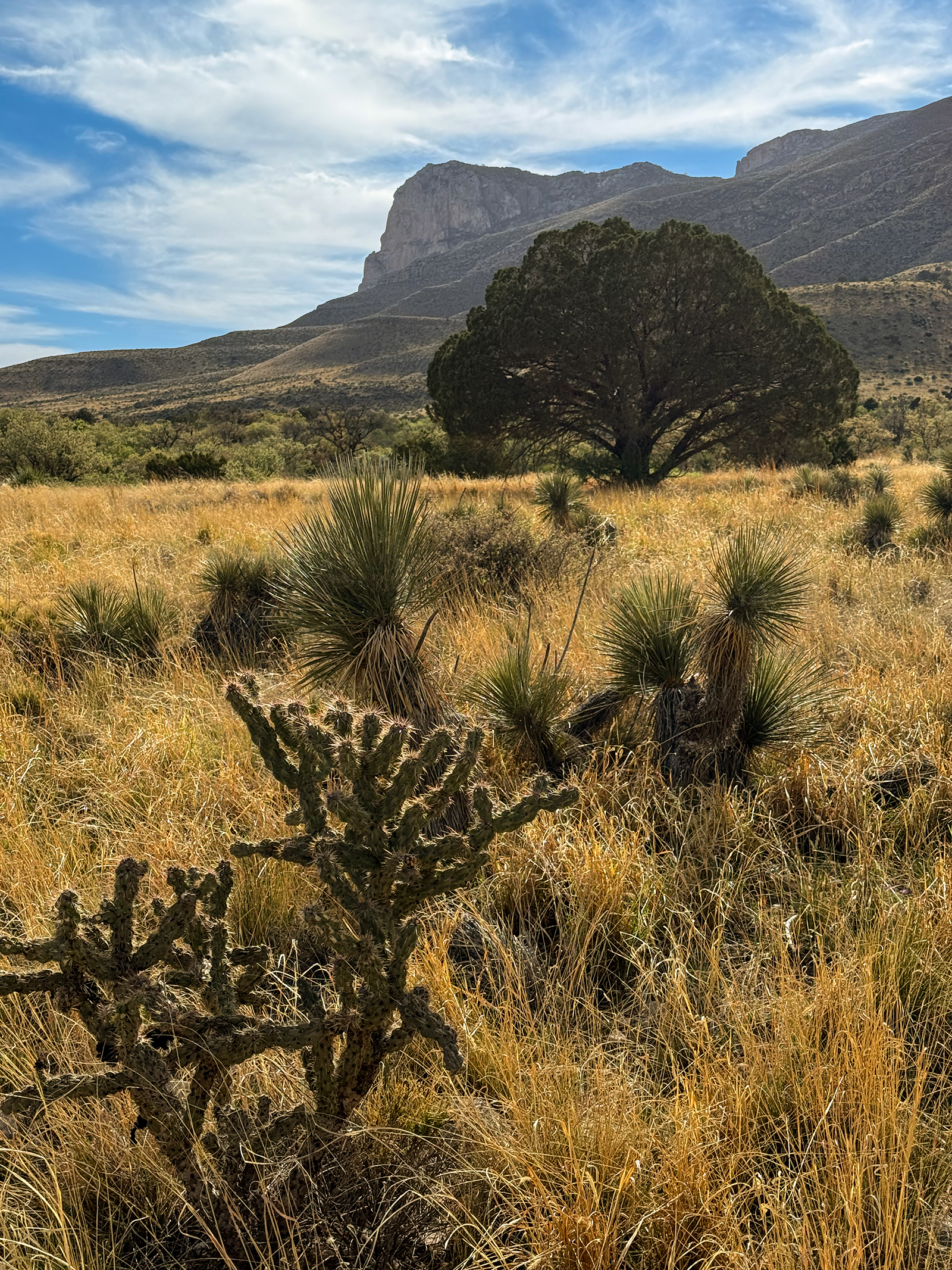 Guadalupe Mountains National Park Guadalupe Mountains National Park