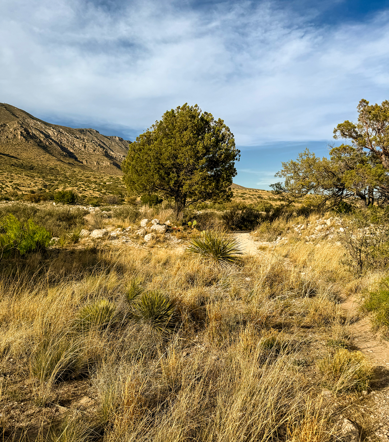Guadalupe Mountains National Park Guadalupe Mountains National Park