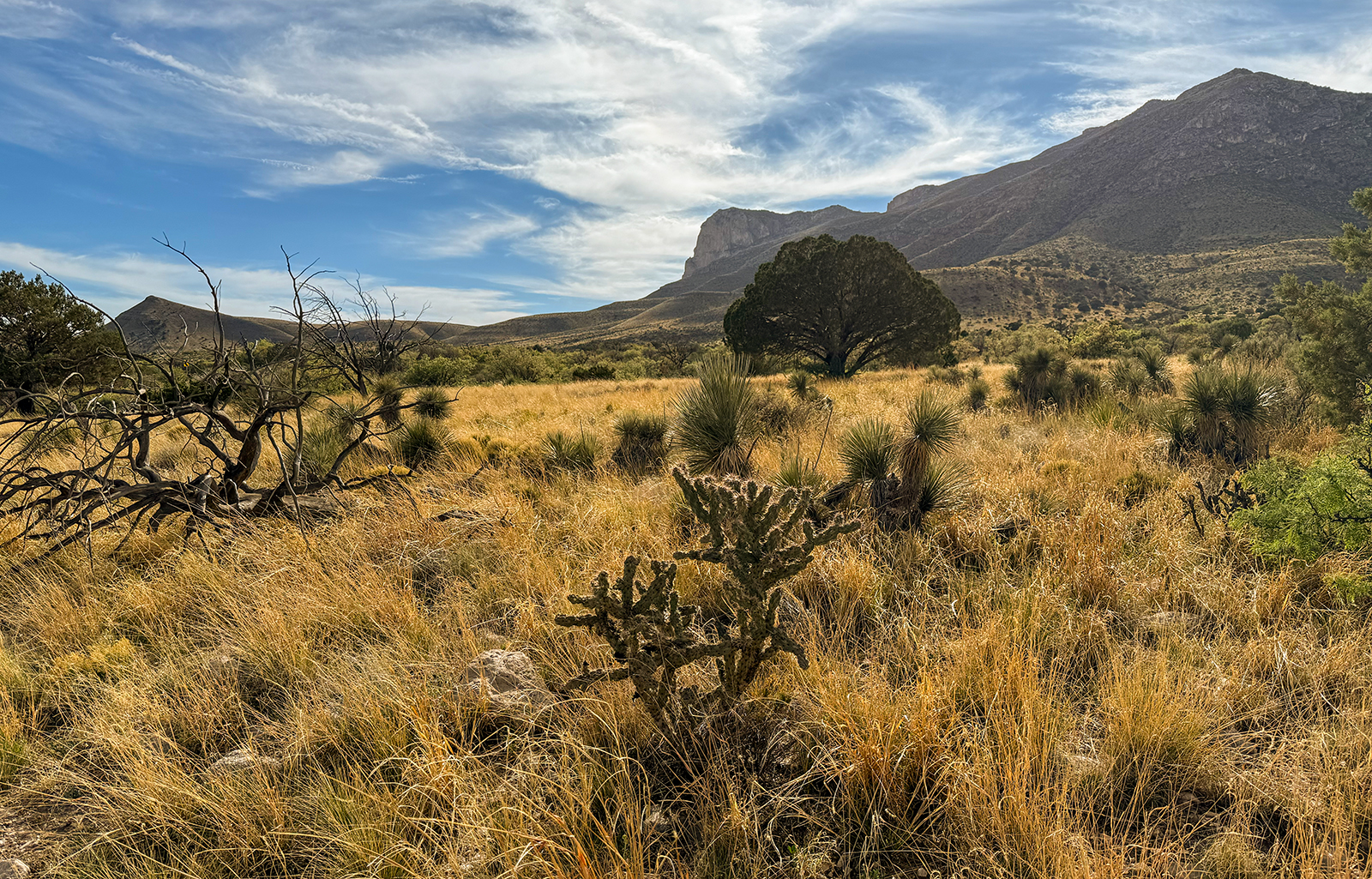 Guadalupe Mountains National Park Guadalupe Mountains National Park