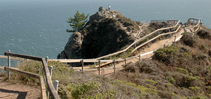 Muir Woods National Monument