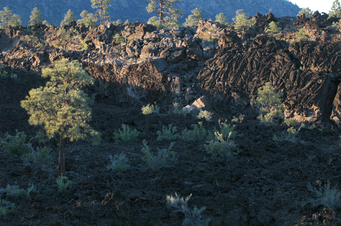 Sunset Crater Volcano National Monument