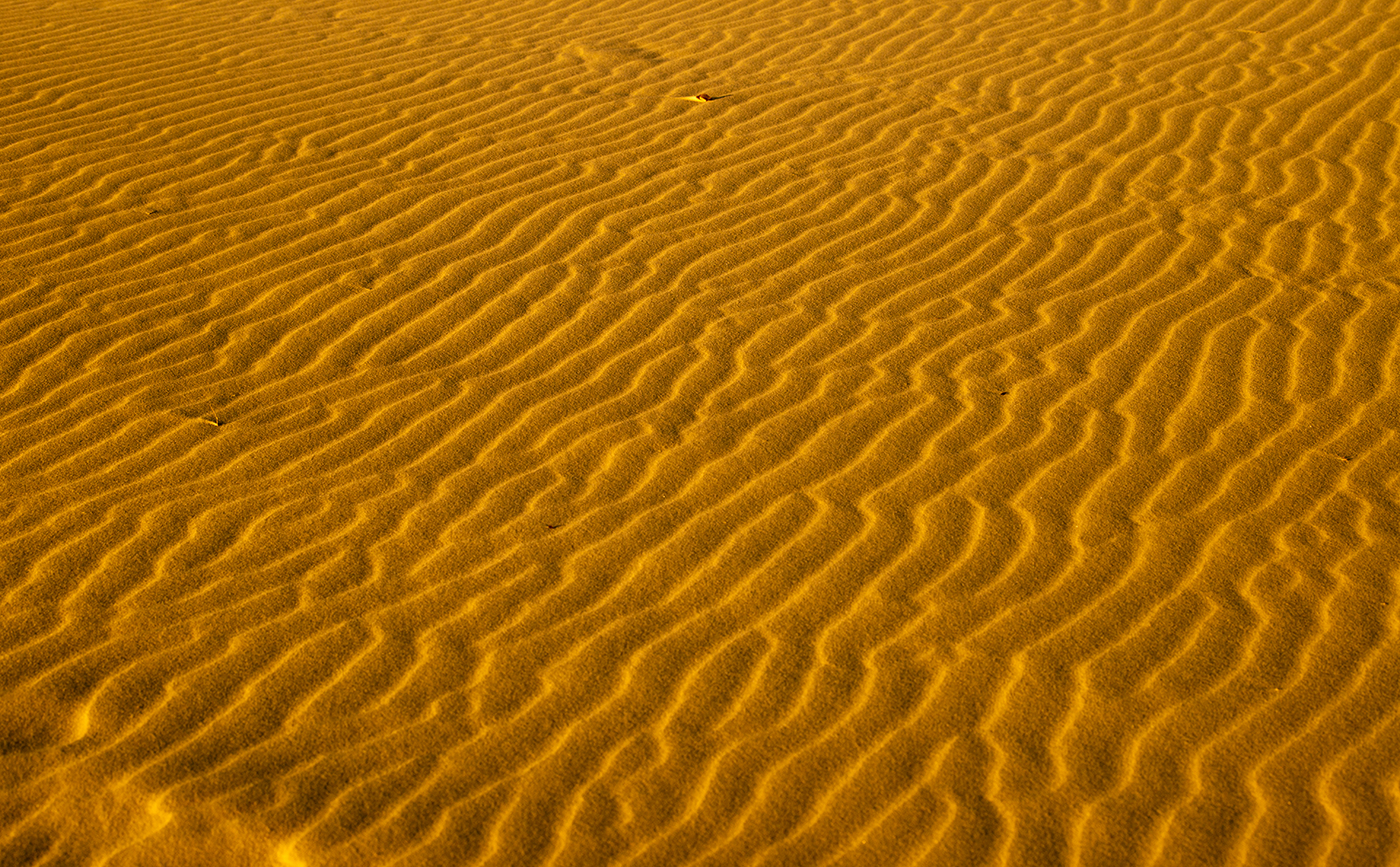 White Sands National Park