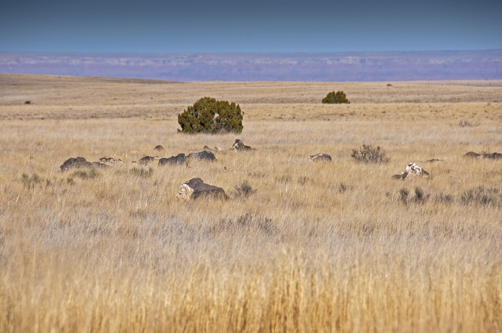 Wupatki National Monument