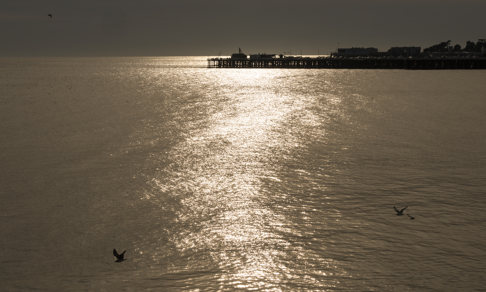 Santa Cruz, California