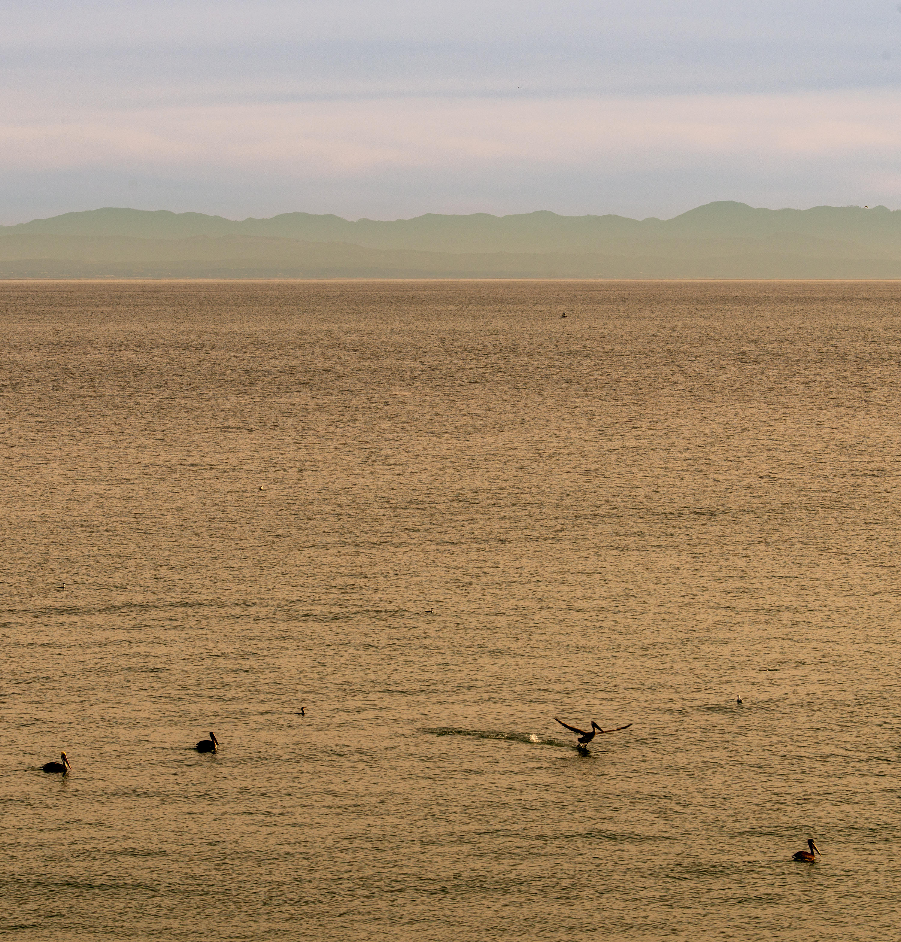 Santa Cruz, California