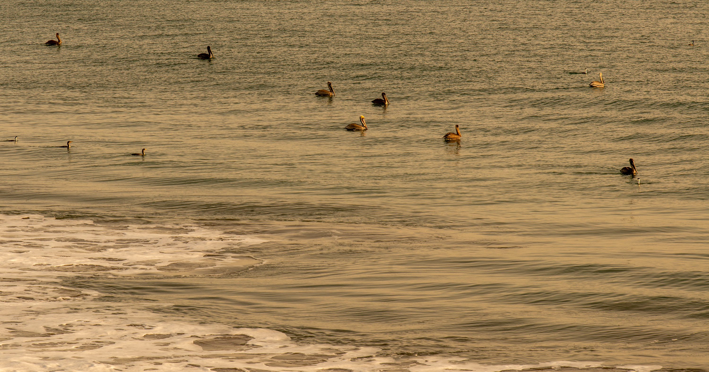 Santa Cruz, California